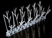 Bird Spikes - Polycarbonate