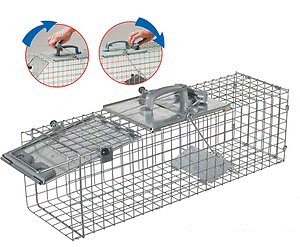 Havahart 1083 Easy Set One-Door Cage Trap for Squirrels and Small Rabbits