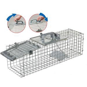 Havahart - Live Trap - Easy Set- Skunk, Rabbit, Large Squirrel - 1084 –  Steve Regan Company