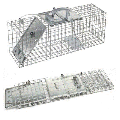 Havahart Live Animal Cage Traps