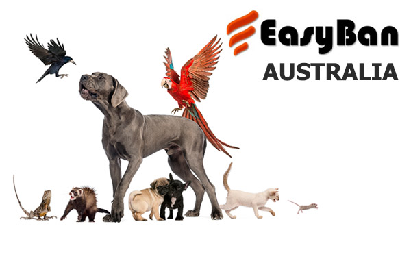 Smart Animal Care and Control - EasyBan | EasyBan Australia